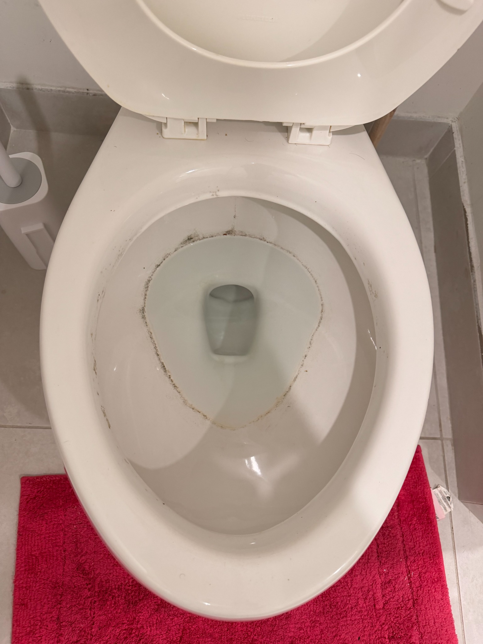 Toilet bowl with a visible dark ring before cleaning.